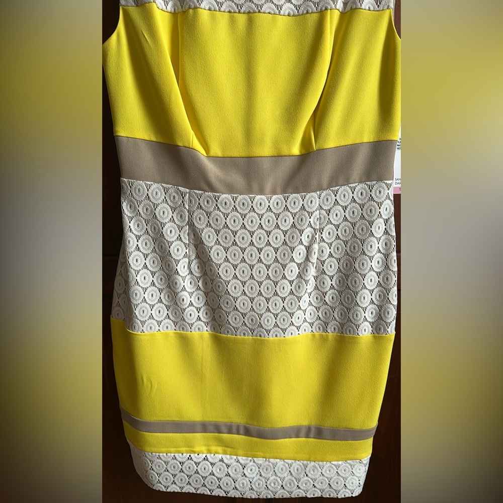 *** NWT SANDRA DARREN LACE COLOR-BLOCK SHEATH MIDI DRESS - Picture 3 of 7